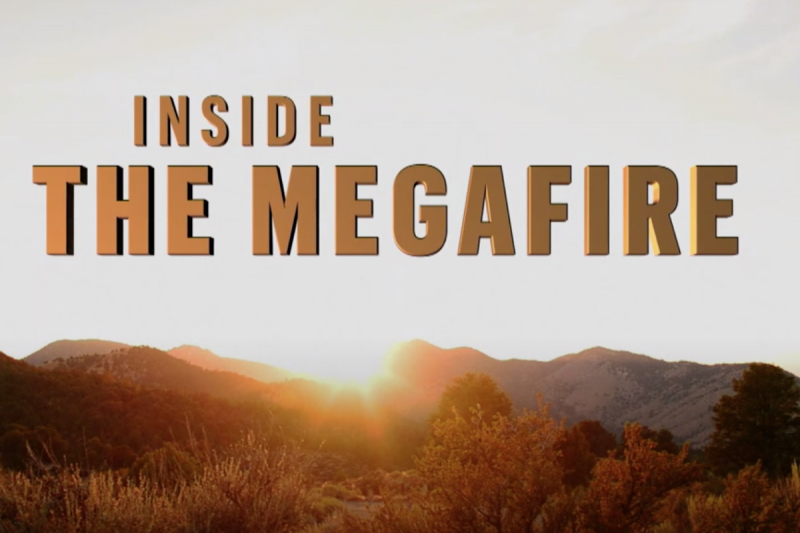 Inside the Megafire